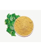 AyurNutri Thuthuvalai Churnam (Climbing Brinjal, Kantakari Leaves Powder), 100g